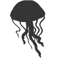 animals & Jellyfish free transparent png image.