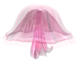 animals & jellyfish free transparent png image.