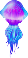 animals & Jellyfish free transparent png image.