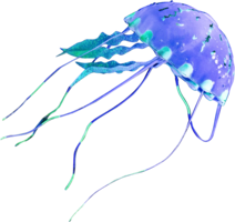 animals & jellyfish free transparent png image.