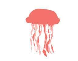 animals & jellyfish free transparent png image.