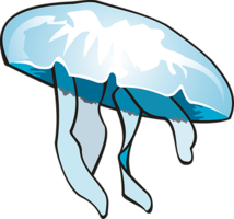 animals & jellyfish free transparent png image.