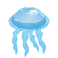 animals & jellyfish free transparent png image.