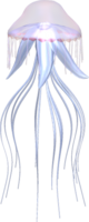 animals & jellyfish free transparent png image.