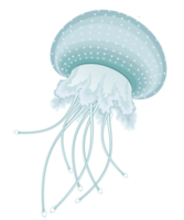 animals & Jellyfish free transparent png image.