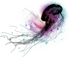 animals & Jellyfish free transparent png image.