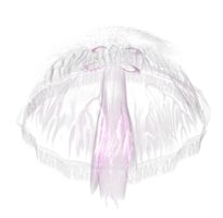 animals & jellyfish free transparent png image.