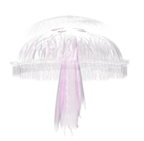 animals & Jellyfish free transparent png image.