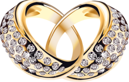 jewelry & Jewelry free transparent png image.