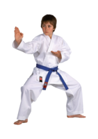 sport & judogi free transparent png image.