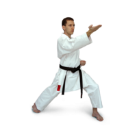 sport & judogi free transparent png image.