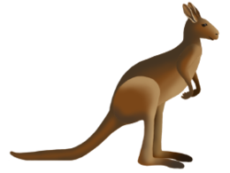 animals & Kangaroo free transparent png image.