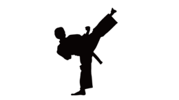 sport & karate free transparent png image.