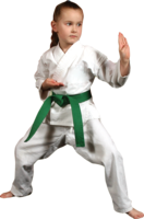 sport & karate free transparent png image.