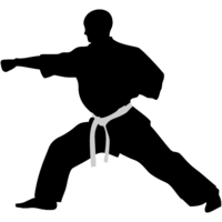 sport & karate free transparent png image.