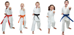 sport & karate free transparent png image.