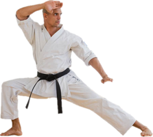 sport & karate free transparent png image.