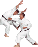 sport & karate free transparent png image.