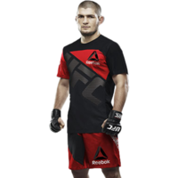 celebrities & khabib nurmagomedov free transparent png image.