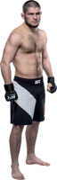 celebrities & khabib nurmagomedov free transparent png image.