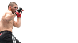 celebrities & Khabib Nurmagomedov free transparent png image.