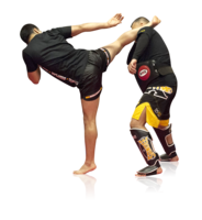 sport & Kickboxing free transparent png image.