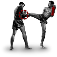 sport & kickboxing free transparent png image.