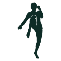 sport & kickboxing free transparent png image.