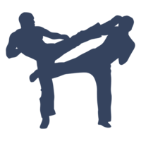 sport & Kickboxing free transparent png image.