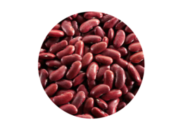 vegetables & Kidney beans free transparent png image.