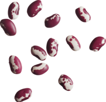 vegetables & kidney beans free transparent png image.