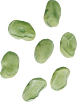 vegetables & Kidney beans free transparent png image.