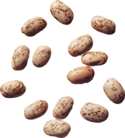 vegetables & kidney beans free transparent png image.