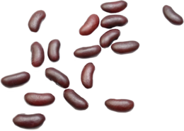 vegetables & Kidney beans free transparent png image.