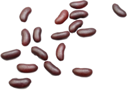 vegetables & kidney beans free transparent png image.