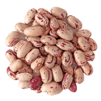 vegetables & kidney beans free transparent png image.