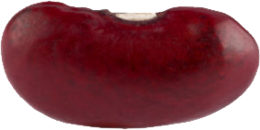 vegetables & Kidney beans free transparent png image.