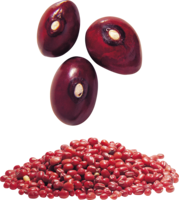 vegetables & Kidney beans free transparent png image.