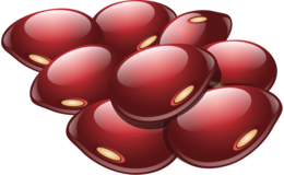 vegetables & Kidney beans free transparent png image.