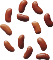 vegetables & kidney beans free transparent png image.