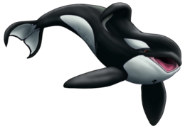 animals&Killer whale png image.