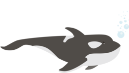 animals & killer whale free transparent png image.