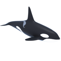 animals & killer whale free transparent png image.