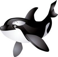 animals & Killer whale free transparent png image.