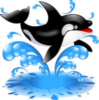 animals & killer whale free transparent png image.