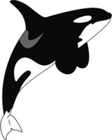 animals & Killer whale free transparent png image.