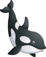 animals & killer whale free transparent png image.