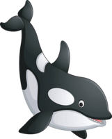 animals & Killer whale free transparent png image.