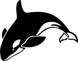 animals & Killer whale free transparent png image.