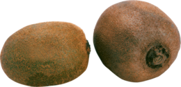 fruits & Kiwi free transparent png image.